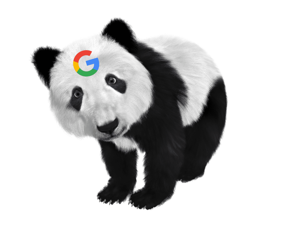 2020 google algorithm panda