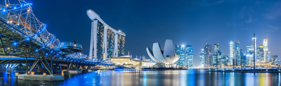 commerce électronique à Singapour