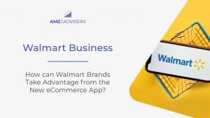 112E How can Walmart Brands Take Advantage from the New Ecommerce App