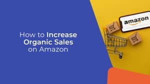 150C How to Increase Organic Sales on Amazon